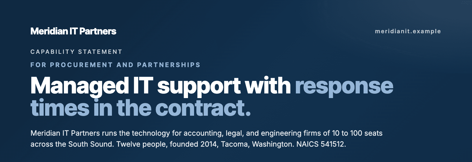 The masthead: company name, capability statement label, headline, and a two-line summary with the NAICS code.