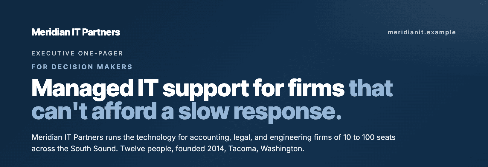 The masthead: company name, executive brief label, headline, and a two-line summary.